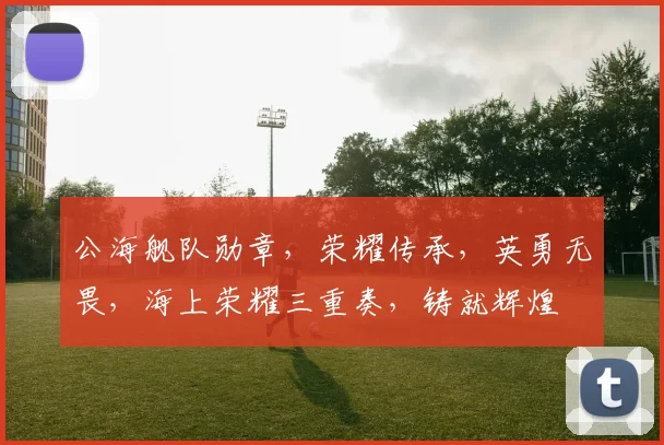 公海舰队勋章，荣耀传承，英勇无畏，海上荣耀三重奏，铸就辉煌